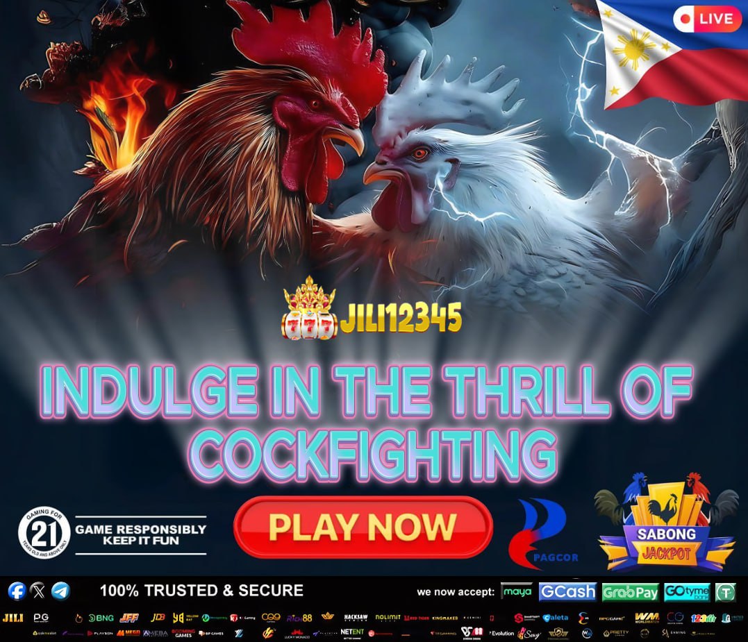 Jogadores de bingo online no Brasil